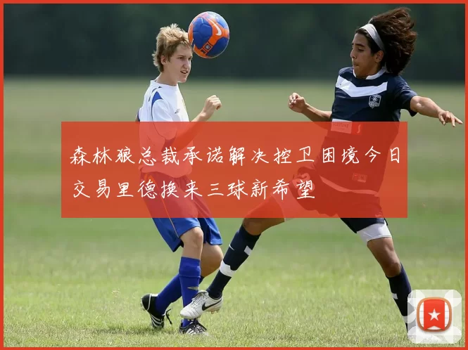 森林狼总裁承诺解决控卫困境今日交易里德换来三球新希望