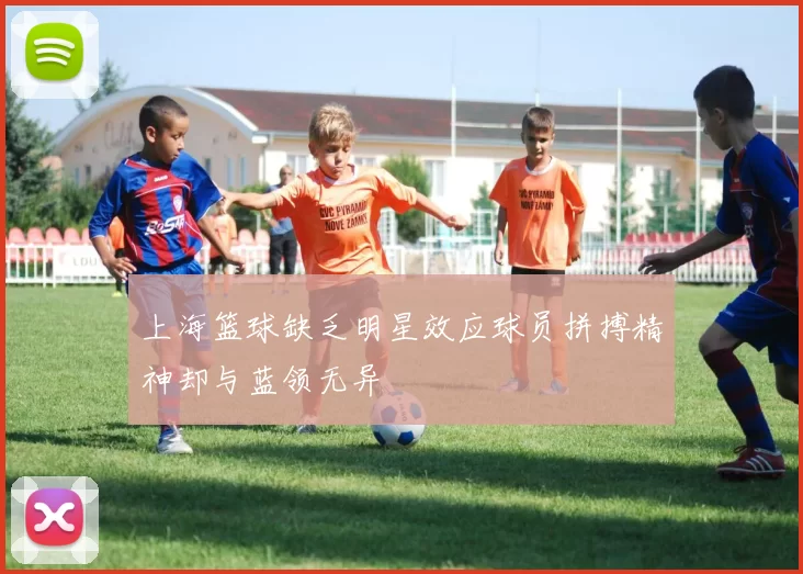 上海篮球缺乏明星效应球员拼搏精神却与蓝领无异