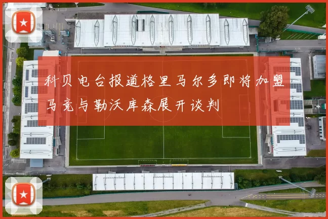 科贝电台报道格里马尔多即将加盟马竞与勒沃库森展开谈判
